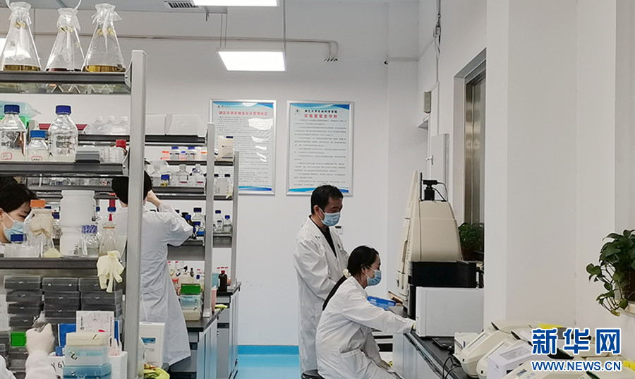 聚焦高質(zhì)量發(fā)展 加速產(chǎn)學(xué)研用融合，湖北競逐合成生物產(chǎn)業(yè)新藍海